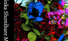 YShonibareBook_screen